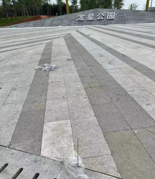 邢台沙河最新爆料,揭秘城市变迁与发展新动向 第2张 邢台沙河最新爆料,揭秘城市变迁与发展新动向 第2张